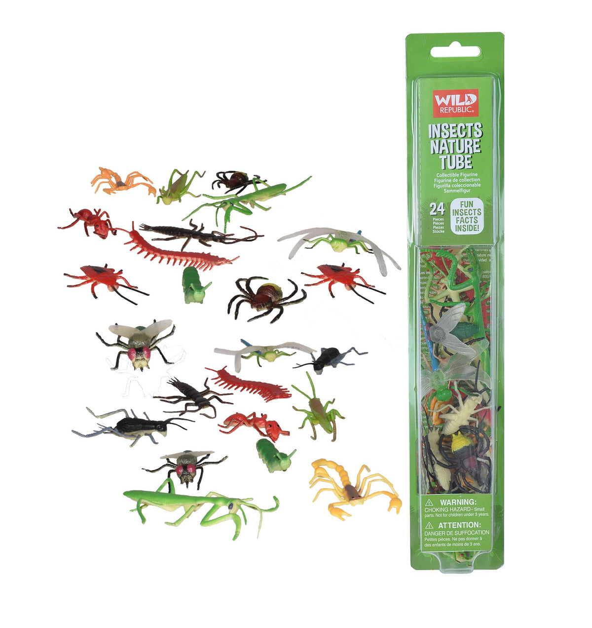 Nature Tube Insect