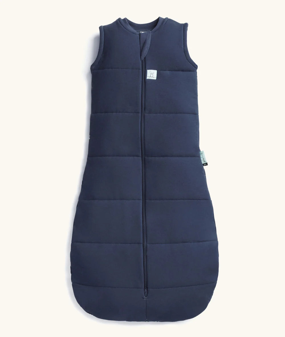 Sleeping Bag Ink 2.5TOG