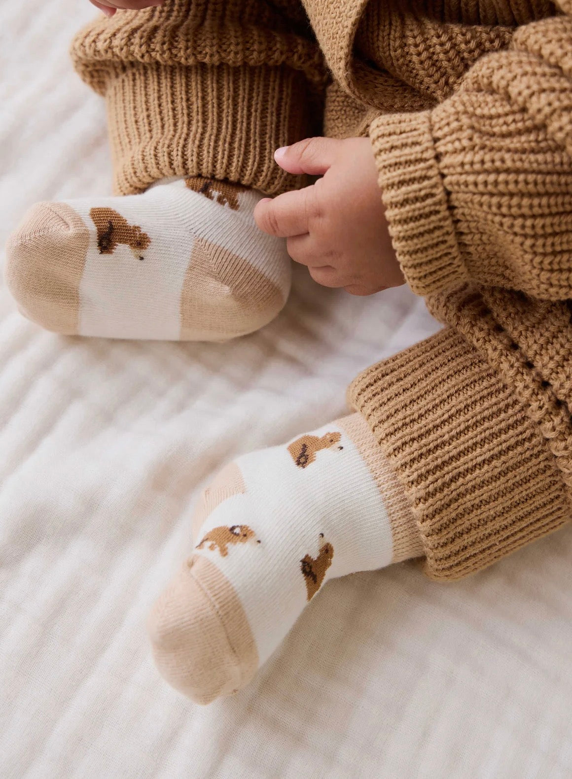 Honey Bear Socks for babies and kids at Tajoh & GG