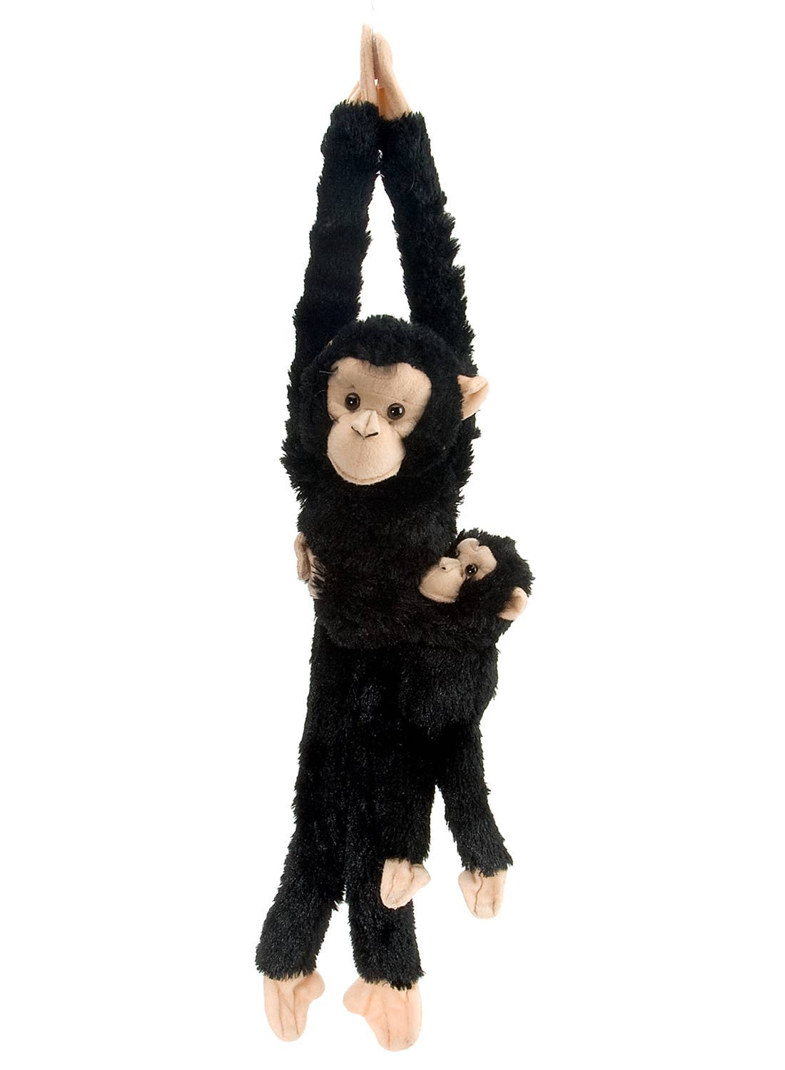 Hanging-Baby Chimpanzee