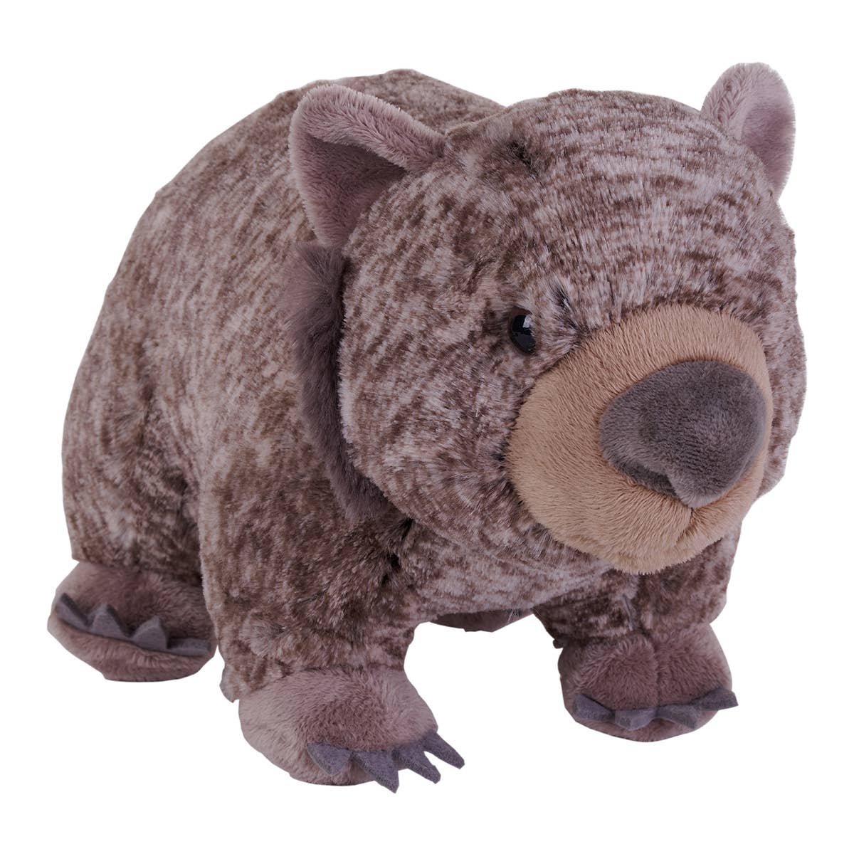 Plush Wombat