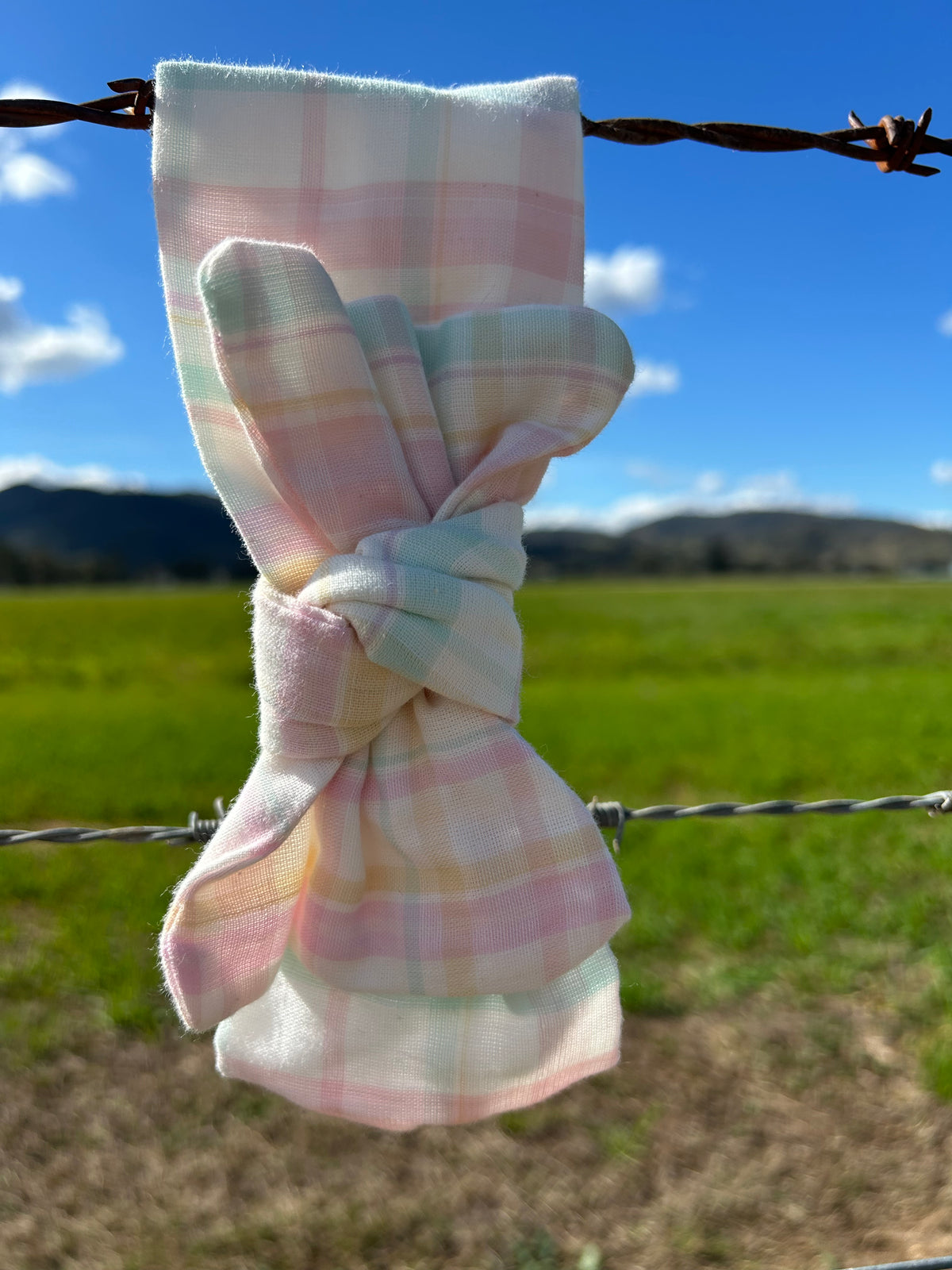 Madelyn Check Bow