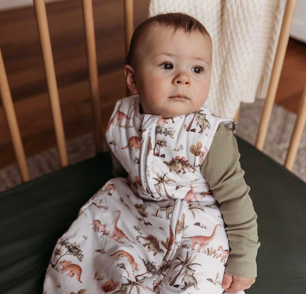 Dino Organic Sleeping Bag 2.5 Tog