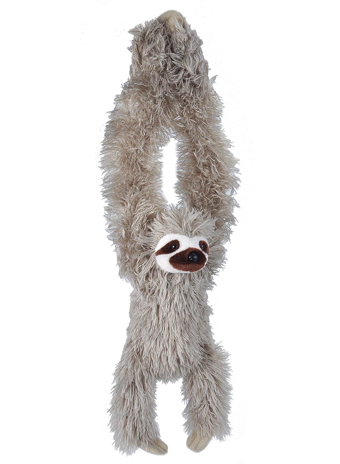 Hanging Three Toed Sloth